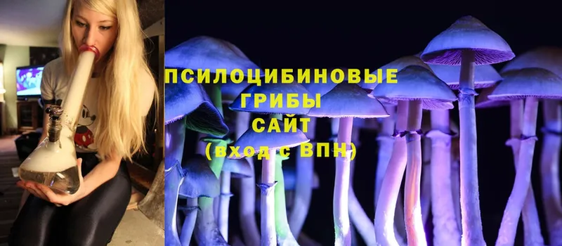 Галлюциногенные грибы Cubensis  МЕГА ССЫЛКА  Оханск  закладка 